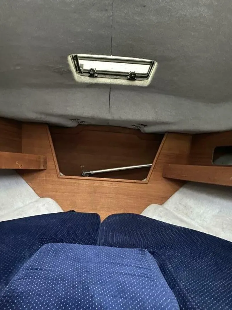 Slide: The Image of Rampage 24 1989 - 4642820