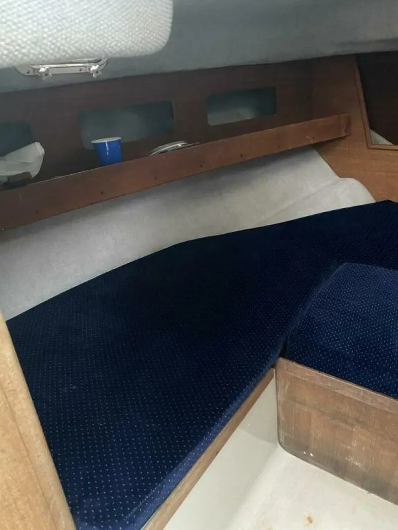 Slide: The Image of Rampage 24 1989 - 4642822