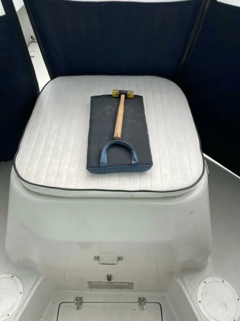 Slide: The Image of Rampage 24 1989 - 4642826