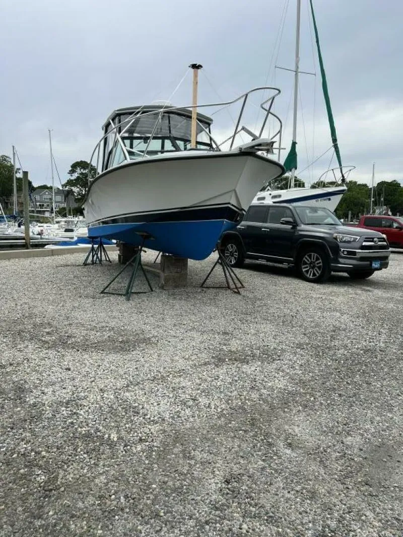 Slide: The Image of Rampage 24 1989 - 4642790