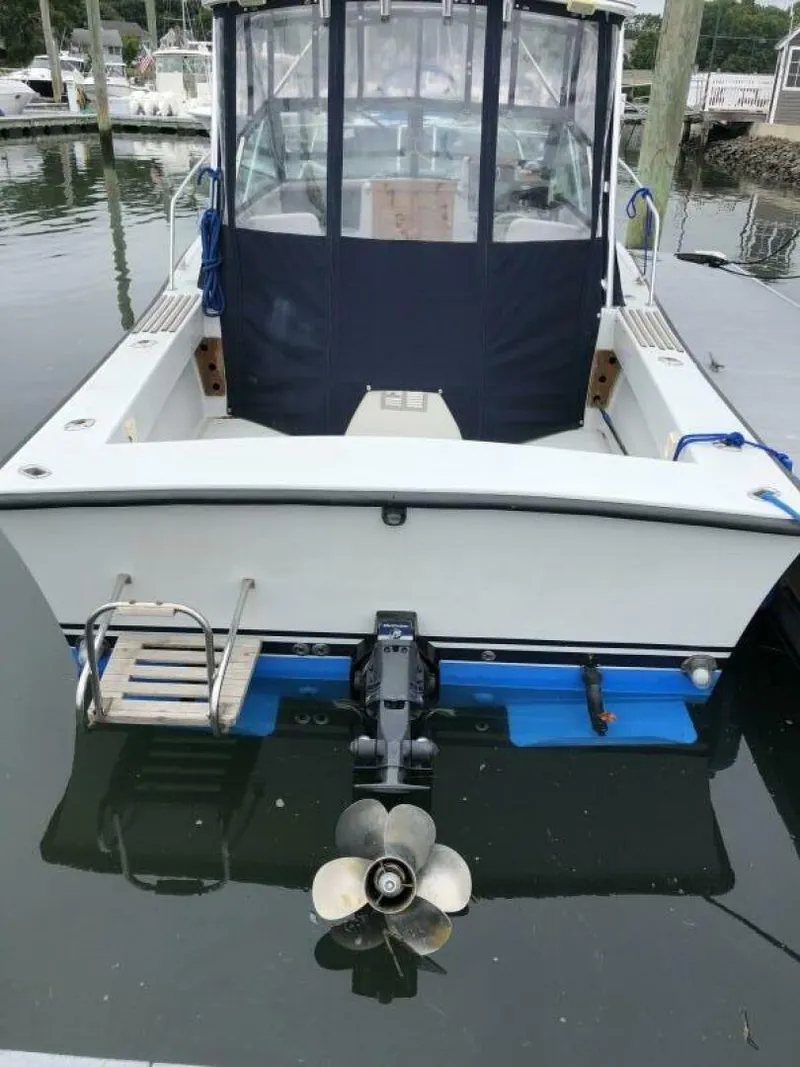 Slide: The Image of Rampage 24 1989 - 4642792