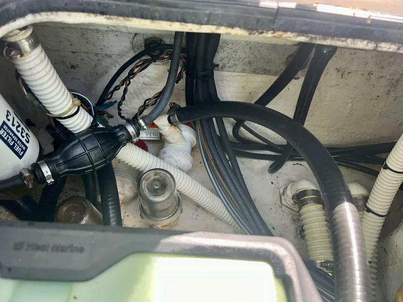 Slide: The Image of Hewes 21 2001 - 4644059