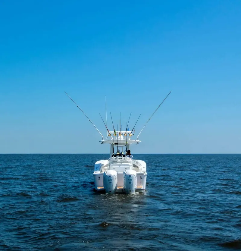 Slide: The Image of Regulator Marine 31 2025 - 4644269