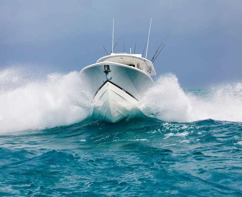Slide: The Image of Regulator Marine 31 2025 - 4644242