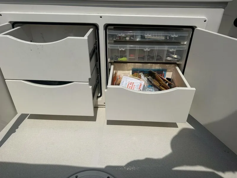 Slide: The Image of Sailfish 242 CC 2022 - 4644434