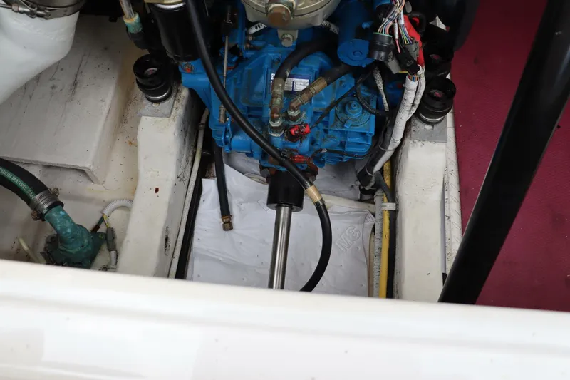 Slide: The Image of Tiara 3100 Coronet 2012 - 4648784