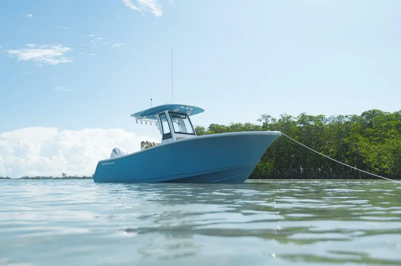 Slide: The Image of Sportsman 232 Open 2025 - 4647321