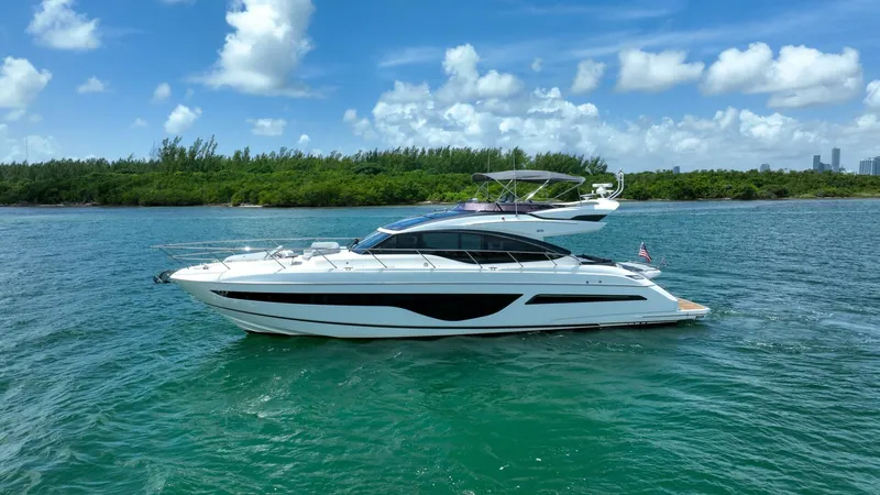 Slide: The Image of Princess S66 2021 - 4686835