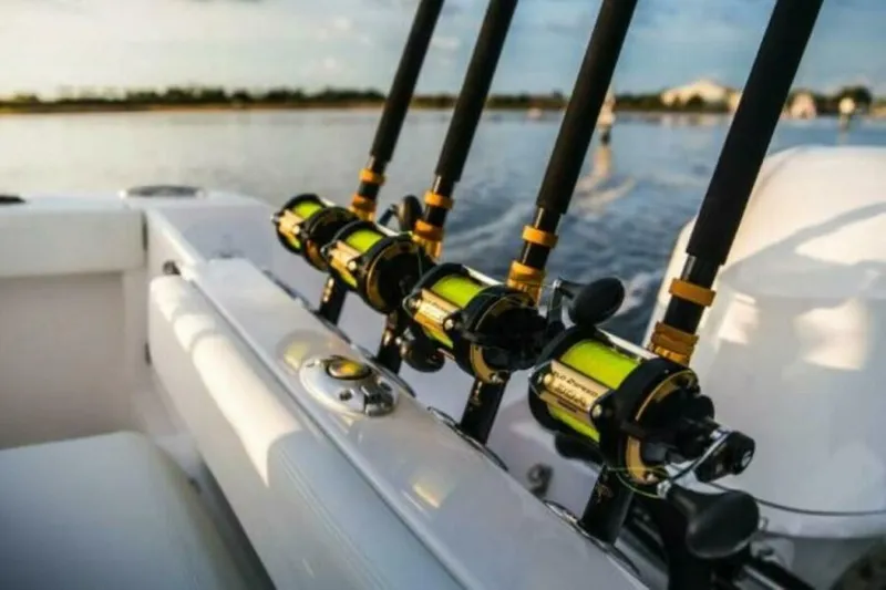 Slide: The Image of Edgewater 230CC 2025 - 4654978