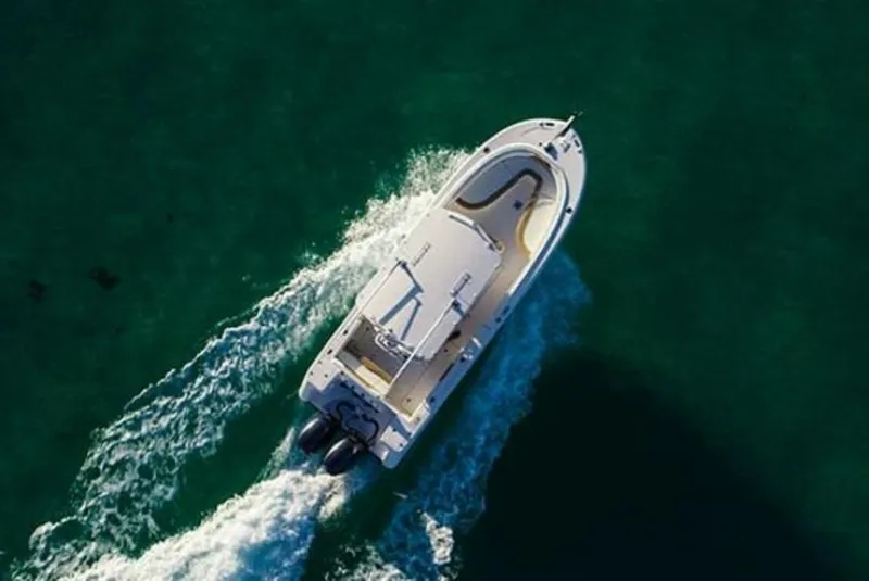 Slide: The Image of Edgewater 245CC 2025 - 4655091