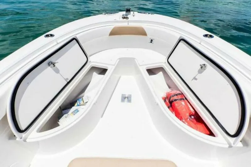 Slide: The Image of Edgewater 245CC 2025 - 4655083