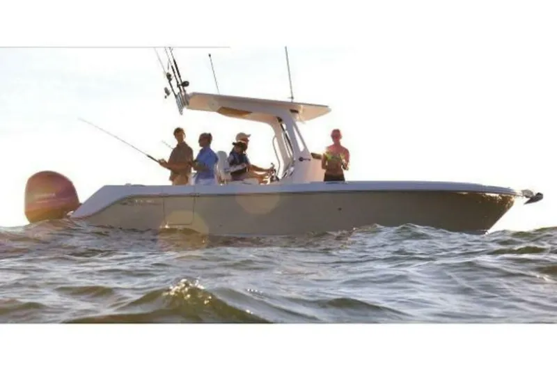 Slide: The Image of Edgewater 262CC 2025 - 4655245