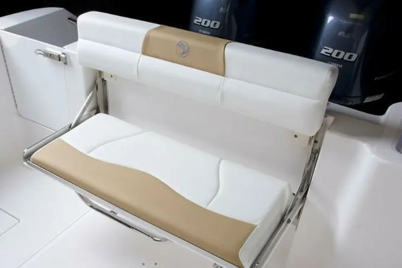 Slide: The Image of Edgewater 262CC 2025 - 4655242