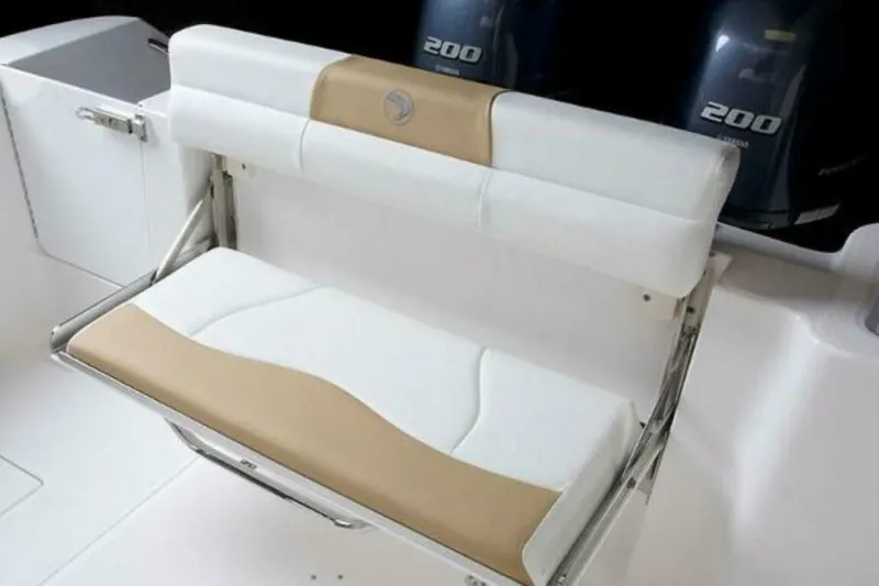 Slide: The Image of Edgewater 262CC 2025 - 4655263