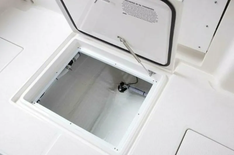 Slide: The Image of Edgewater 262CC 2025 - 4655264