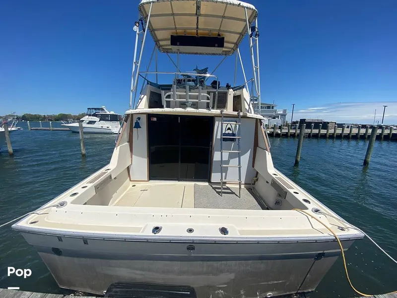 Slide: The Image of Silverton 37 Convertible 1980 - 10522225