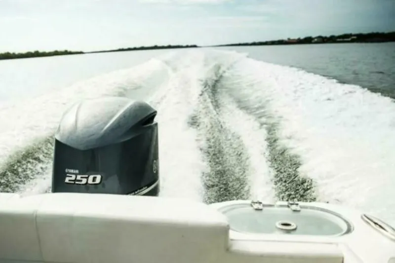 Slide: The Image of Edgewater 230CX 2025 - 4673792