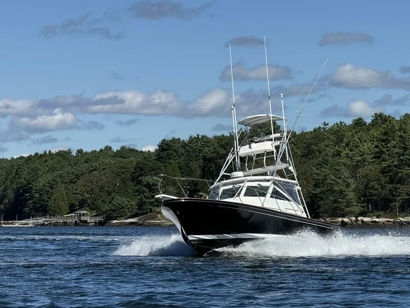 The Image of Black Watch 33 1993 - 4731988