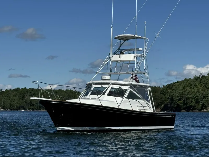 Slide: The Image of Black Watch 33 1993 - 4731990