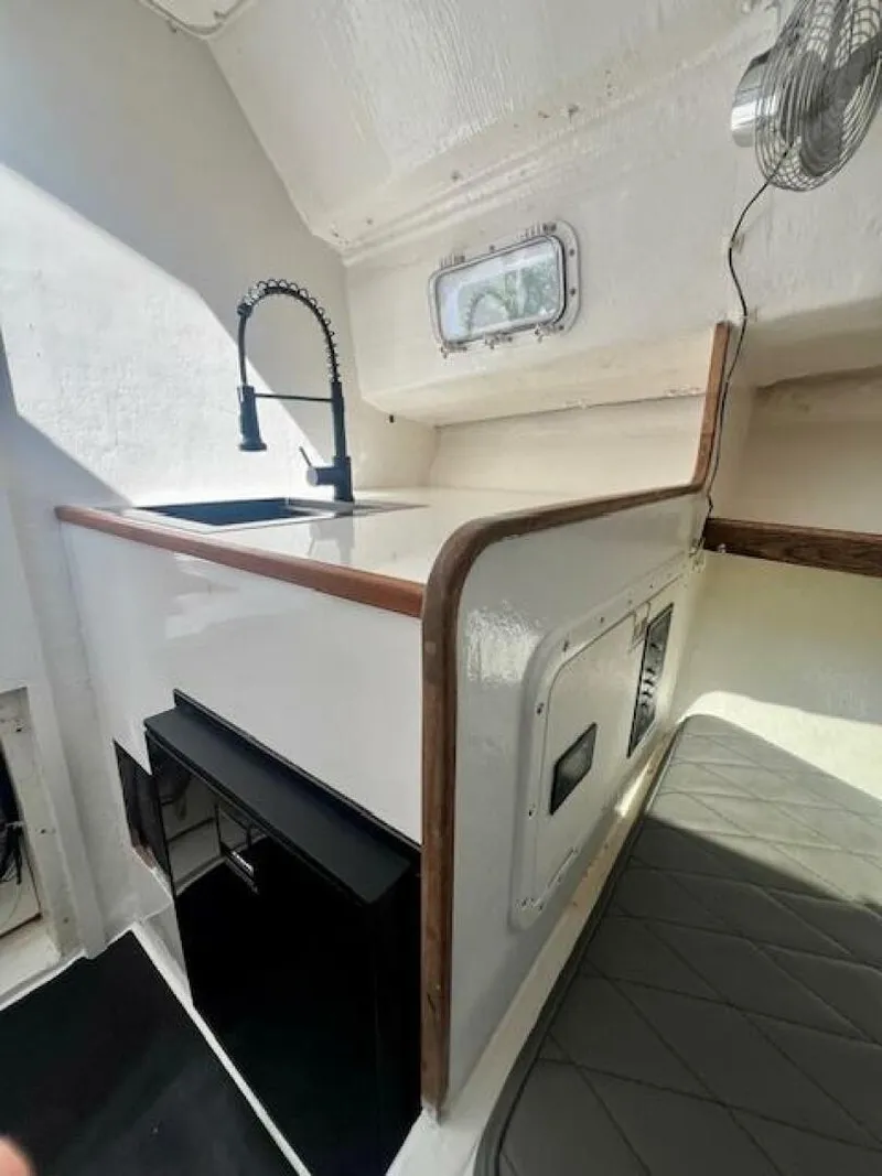 Slide: The Image of Dusky 26 1987 - 4698247