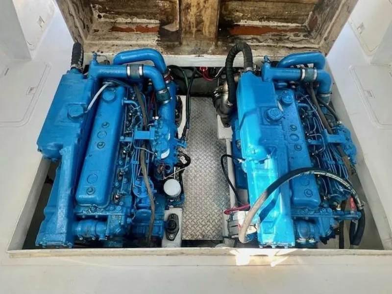 Slide: The Image of Dusky 26 1987 - 4698250