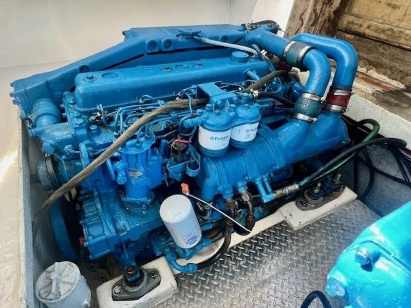 Slide: The Image of Dusky 26 1987 - 4698251