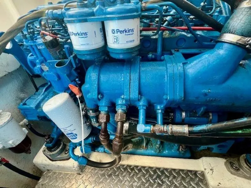 Slide: The Image of Dusky 26 1987 - 4698253