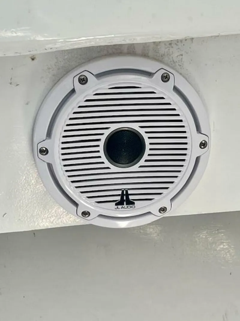 Slide: The Image of Dusky 26 1987 - 4698254