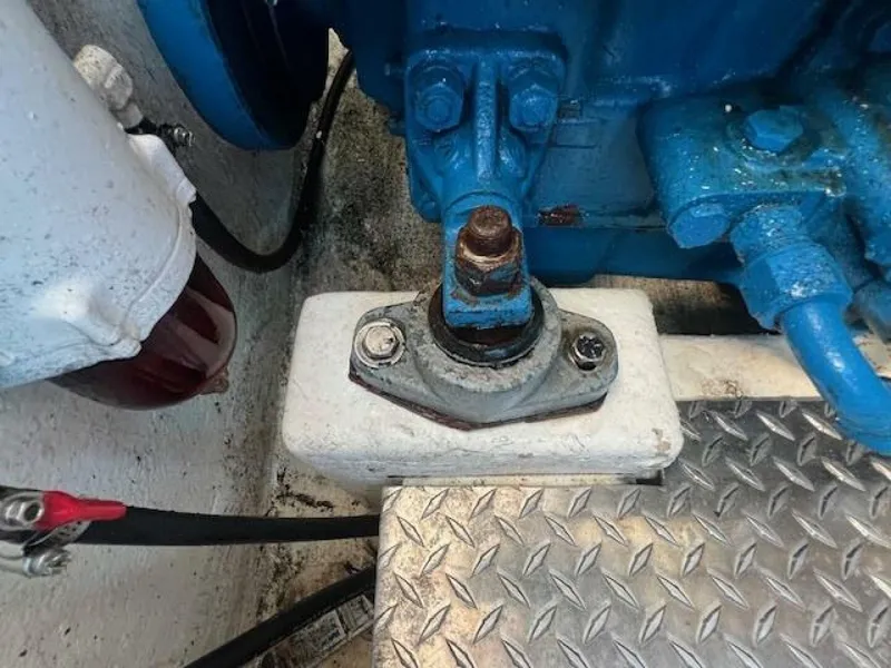 Slide: The Image of Dusky 26 1987 - 4698256