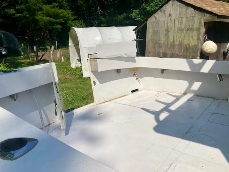 Slide: The Image of Dusky 26 1987 - 4698235