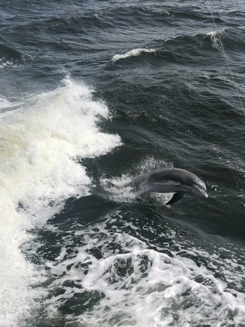 Slide: The Image of Post 44 Sport Fisherman 1990 - 5263470