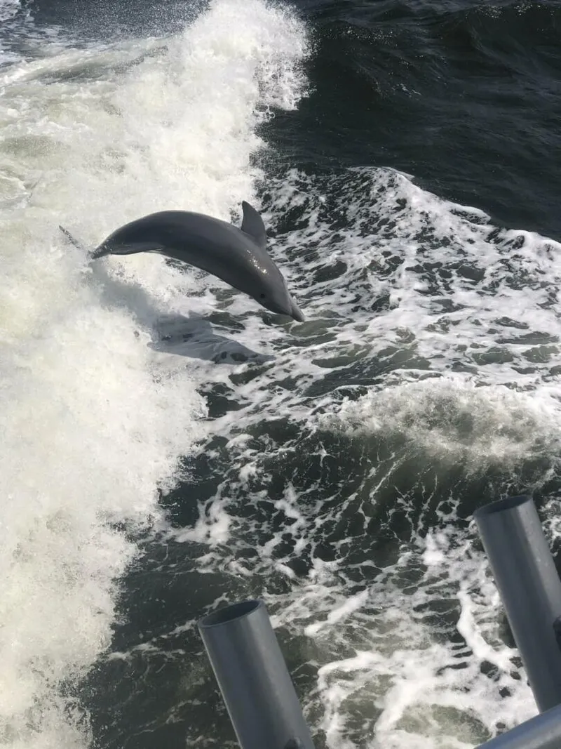 Slide: The Image of Post 44 Sport Fisherman 1990 - 5263471