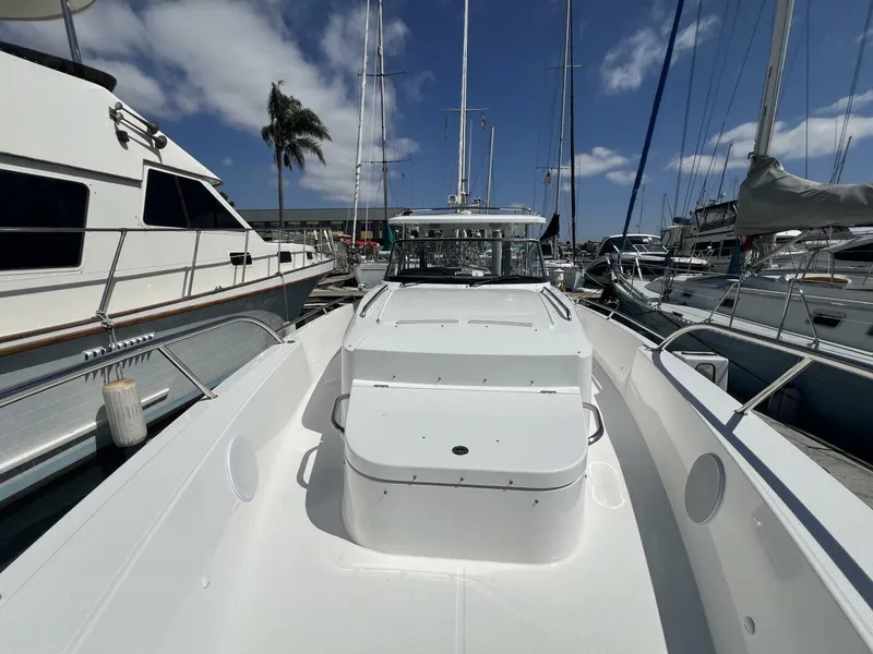 Slide: The Image of Nimbus T11 2024 - 4701913