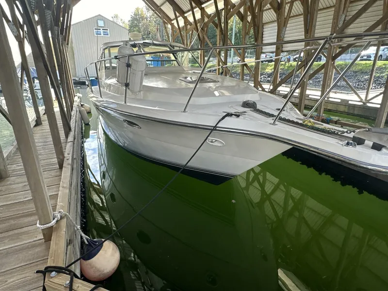 The Image of Tiara 3300 Open 1988 - 4706027