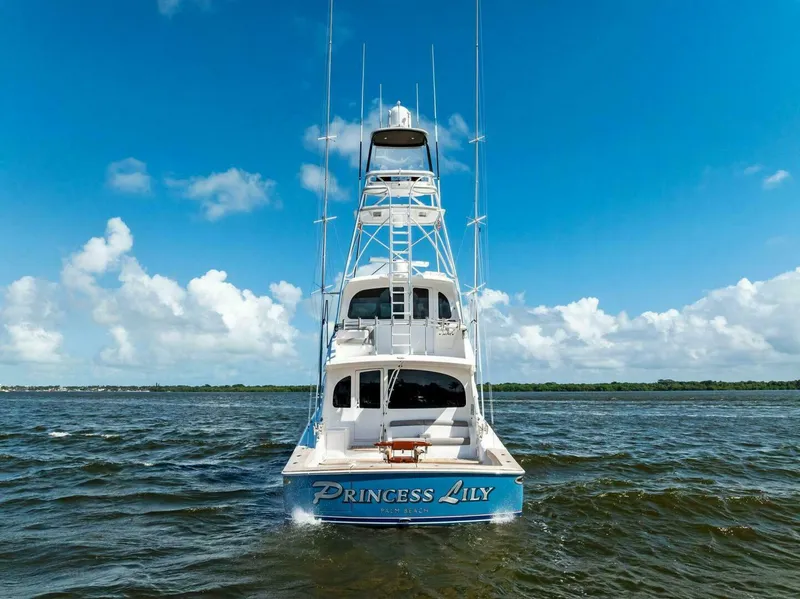 Slide: The Image of 2015 Viking 66 Enclosed Bridge "Princess Lily" - 4762136