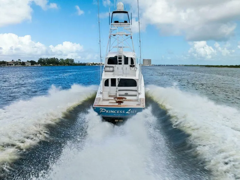 Slide: The Image of 2015 Viking 66 Enclosed Bridge "Princess Lily" - 4762129