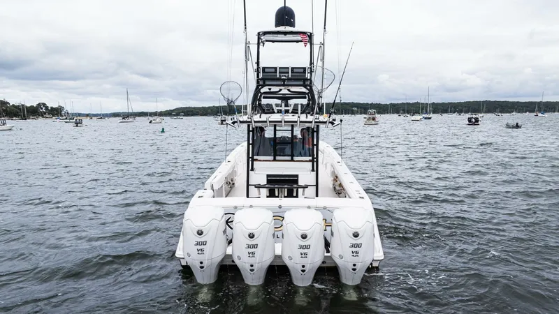 Slide: The Image of Everglades 435 CC 2017 - 4721386