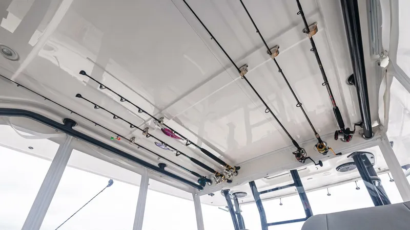 Slide: The Image of Everglades 435 CC 2017 - 4721417