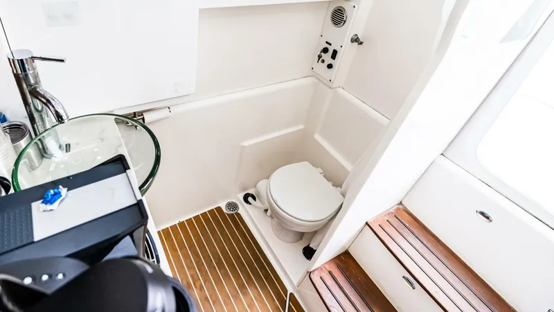 Slide: The Image of Everglades 435 CC 2017 - 4721437