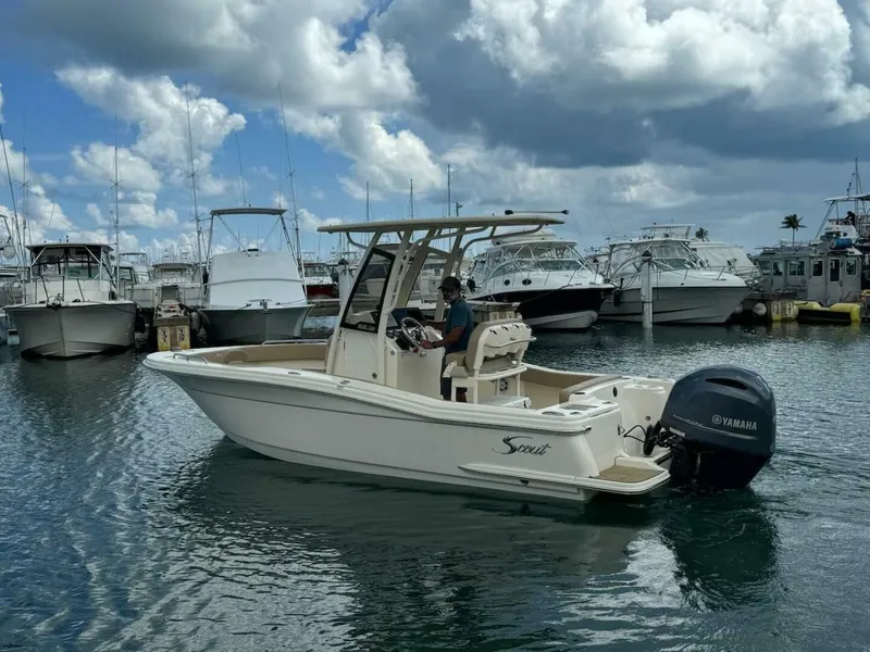 Slide: The Image of Scout 215 XSF 2023 - 4736207