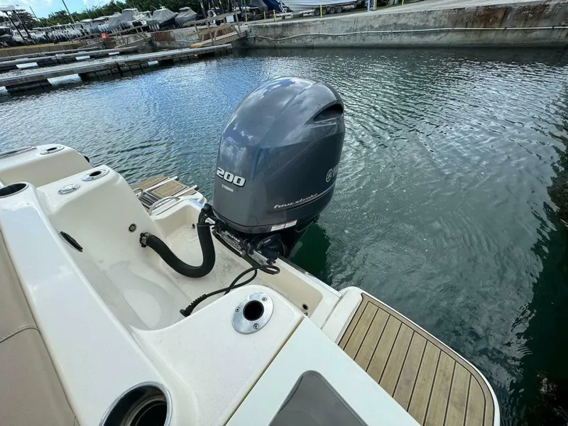 Slide: The Image of Scout 215 XSF 2023 - 4736213