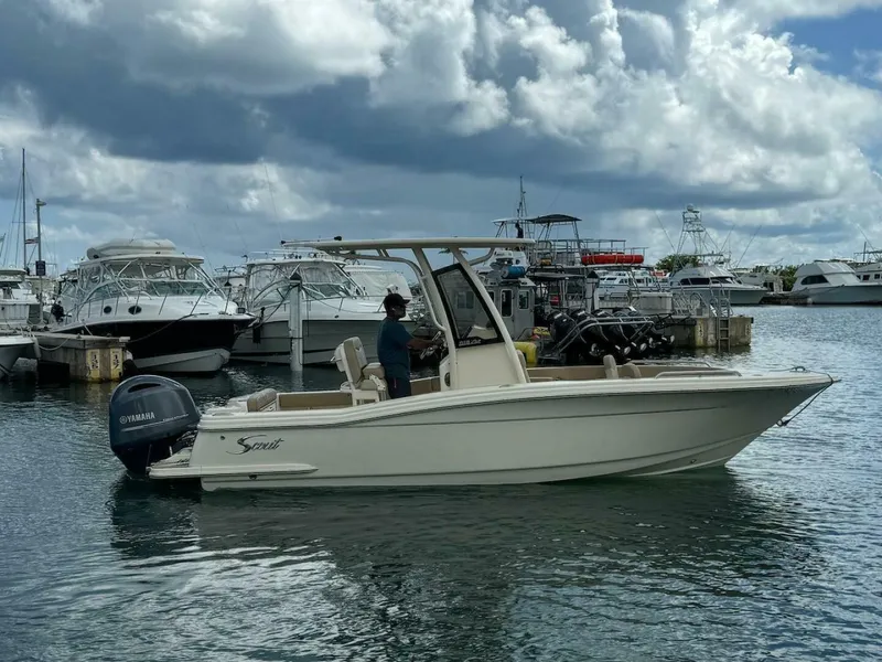 Slide: The Image of Scout 215 XSF 2023 - 4736194