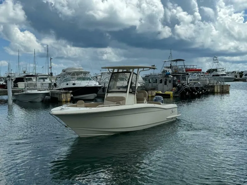 Slide: The Image of Scout 215 XSF 2023 - 4736196