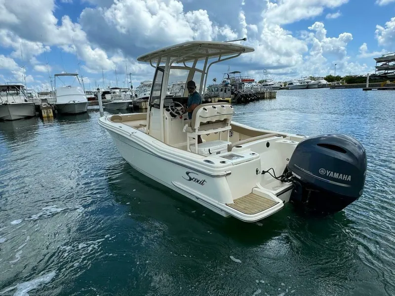 Slide: The Image of Scout 215 XSF 2023 - 4736198