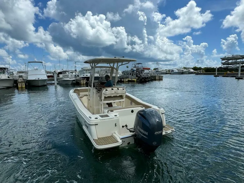 Slide: The Image of Scout 215 XSF 2023 - 4736200