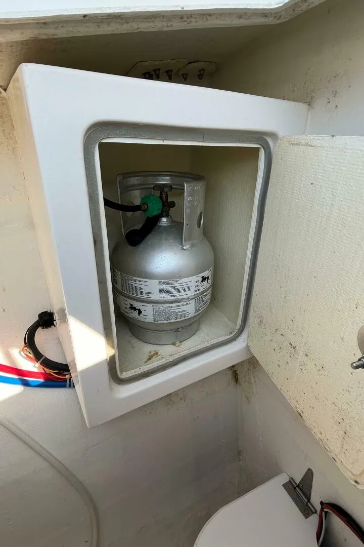 Slide: The Image of Maine Cat 38 2018 - 4738968