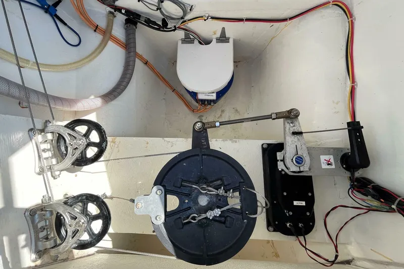 Slide: The Image of Maine Cat 38 2018 - 4738974