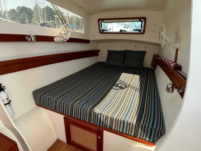 Slide: The Image of Maine Cat 38 2018 - 4739005