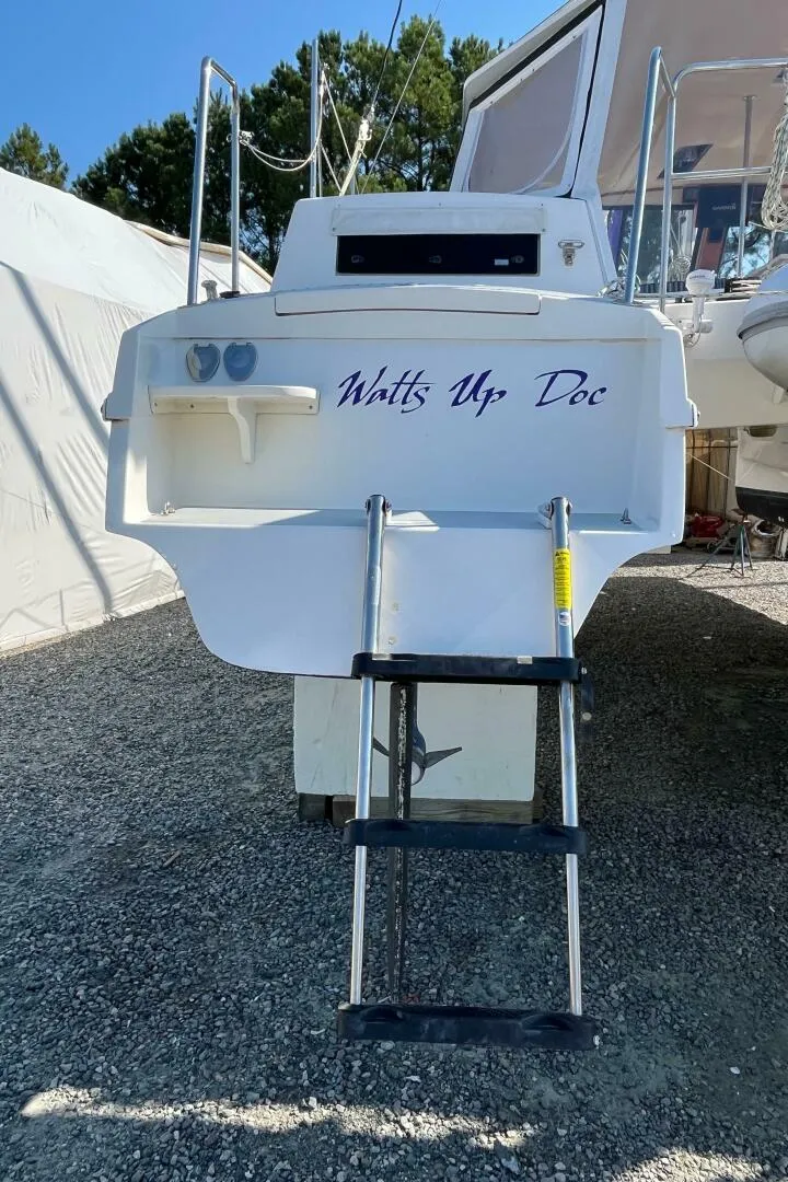 Slide: The Image of Maine Cat 38 2018 - 4738963