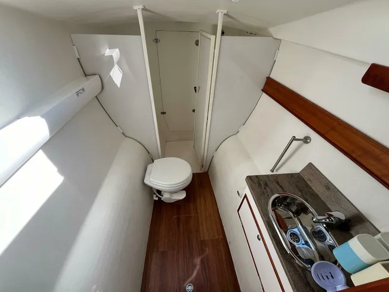 Slide: The Image of Maine Cat 38 2018 - 4739011